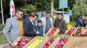 بازدید مسئولین از جشنواره سیب و عسل مراغه