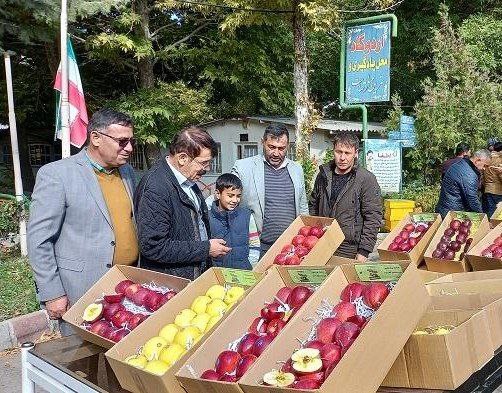 بازدید مسئولین از جشنواره سیب و عسل مراغه