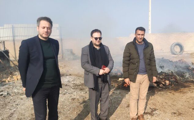 معدوم‌سازی ۲ تن گوشت قرمز در مراغه