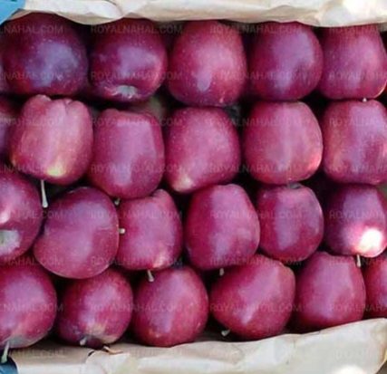 سیب مراغه