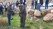 کاشت نهال در محوطه غار هامپوئیل مراغه