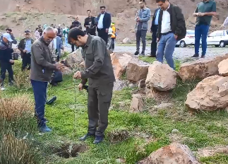 کاشت نهال در محوطه غار هامپوئیل مراغه